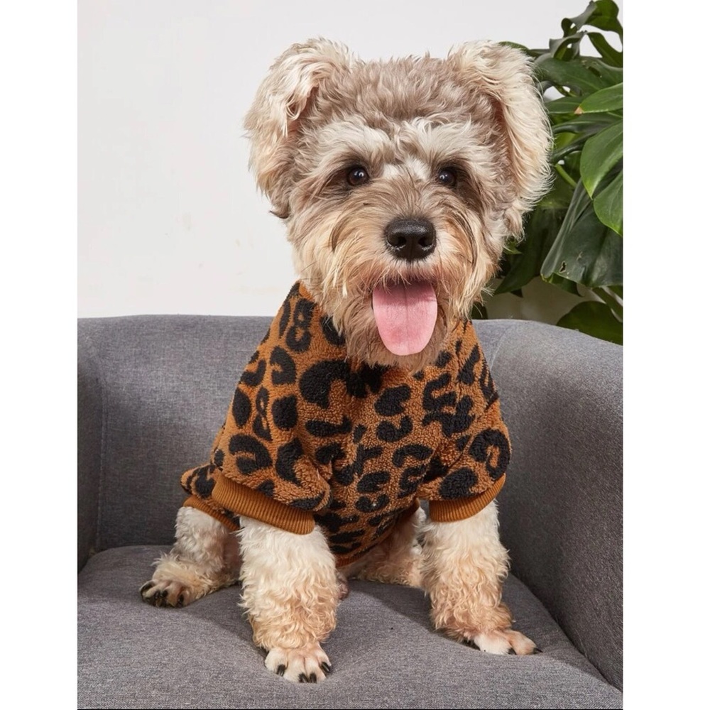 Leopard Print Pet Sweater 🐕